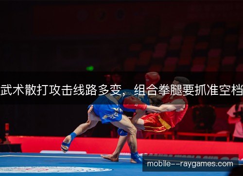 武术散打攻击线路多变,组合拳腿要抓准空档 武术散打攻击线路多变,组合拳腿要抓准空档